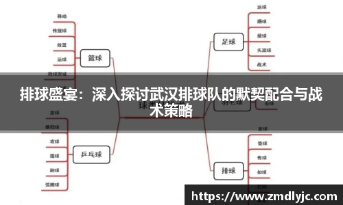 排球盛宴：深入探讨武汉排球队的默契配合与战术策略